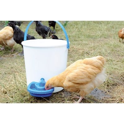 Abreuvoir Chick'A bleu Maxi-Cup 0,5 Litre