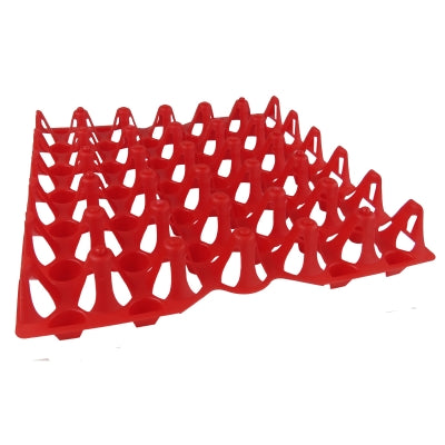 Plateau en plastique pour 30 œufs de poulets