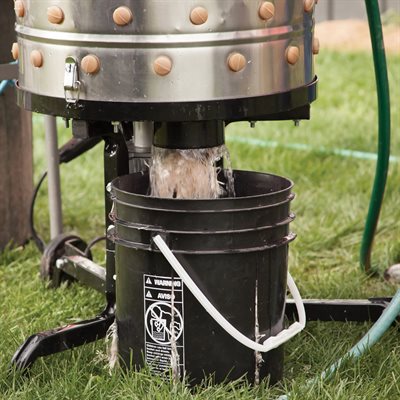 Plumeuse pour poulets Yardbird