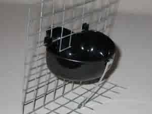 Abreuvoir à lapins en plastique noir durci 10 oz